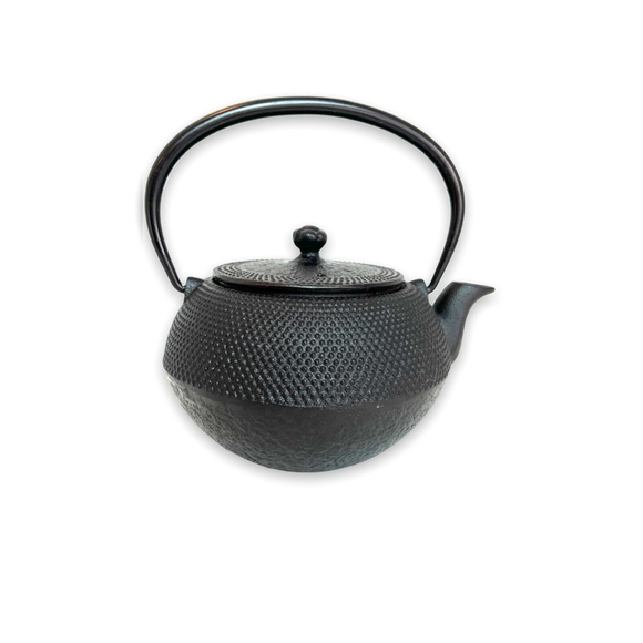 Japanese Style Cast Iron Tea Pot (INCLUDES FILTER) - BLACK COLOR - NEW** - Picture 1 of 6